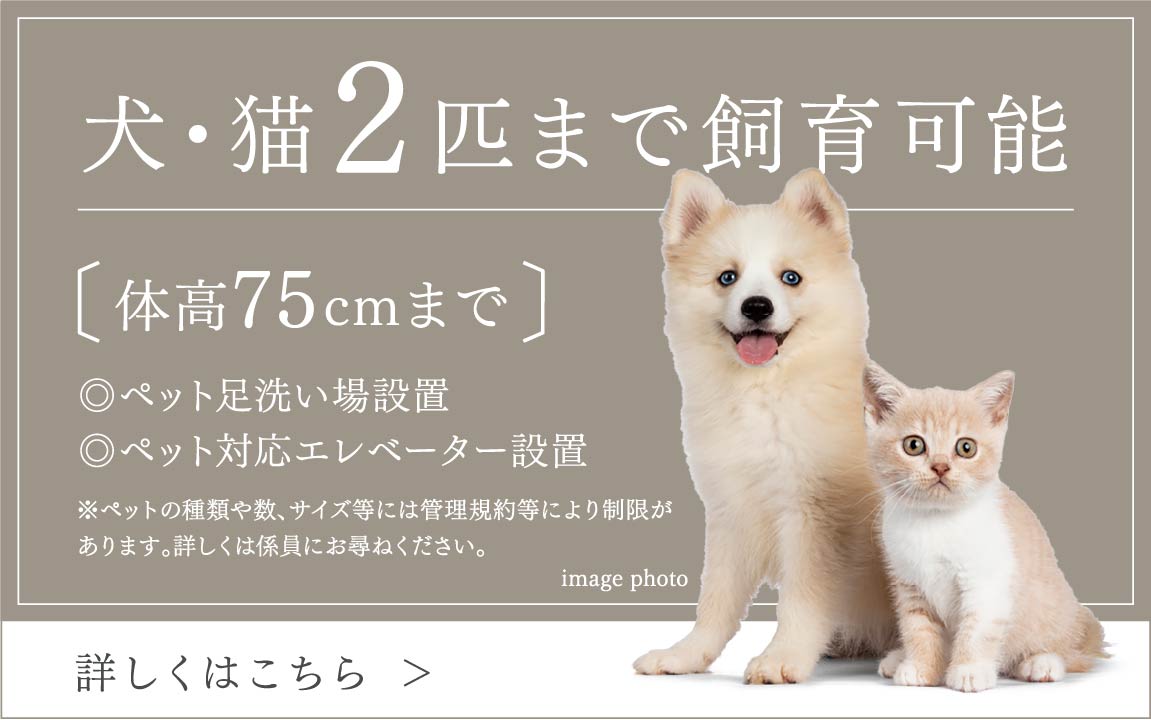 犬・猫「2匹」まで飼育可能