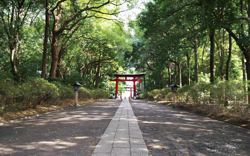 大宮八幡宮／約1,030～1,040m徒歩13分（1～3号棟）
