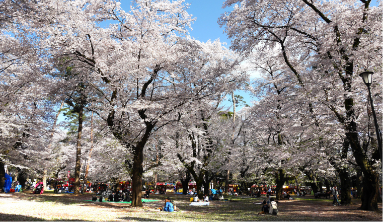 大宮公園（約670〜690m／徒歩9分）