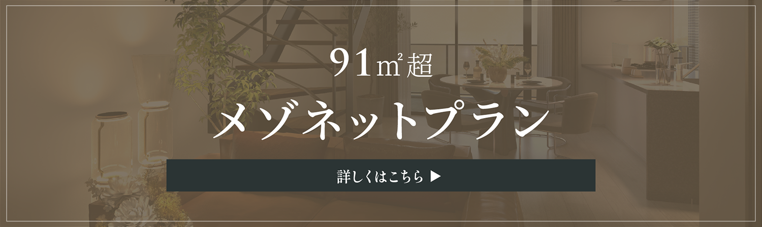 91㎡超メゾネットプラン