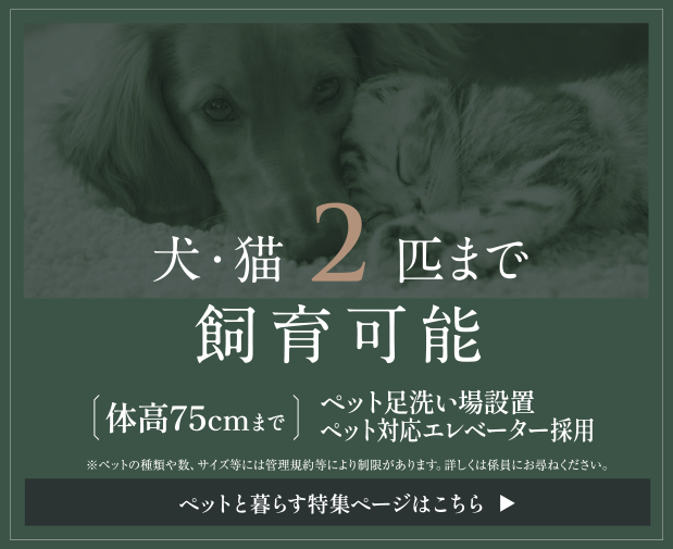 犬・猫2匹まで飼育可能。ペットと暮らす特集ページはこちら。