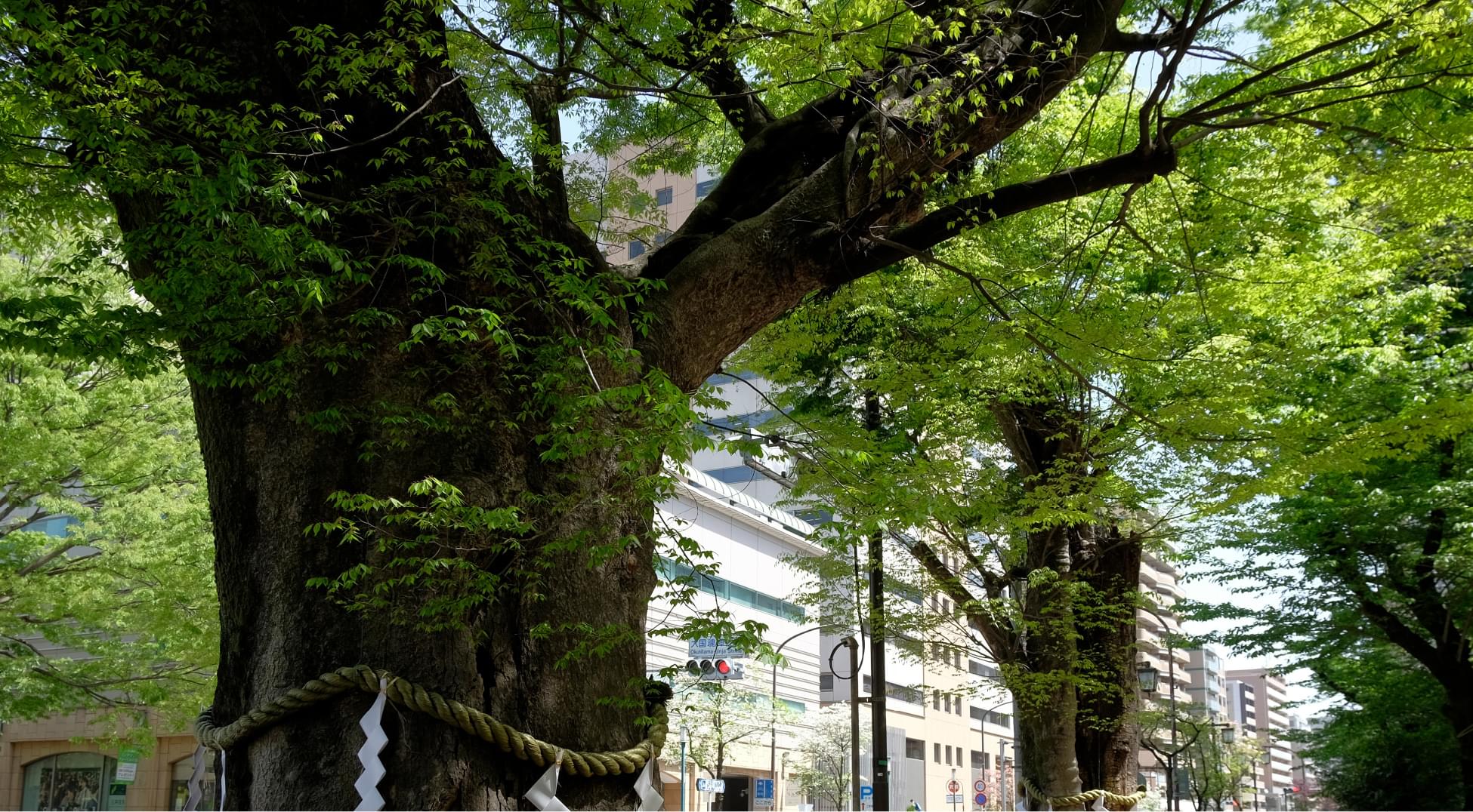 大國魂神社参道入口（徒歩17分・約1,300m）