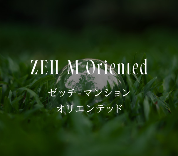 ZEH-M Oriented