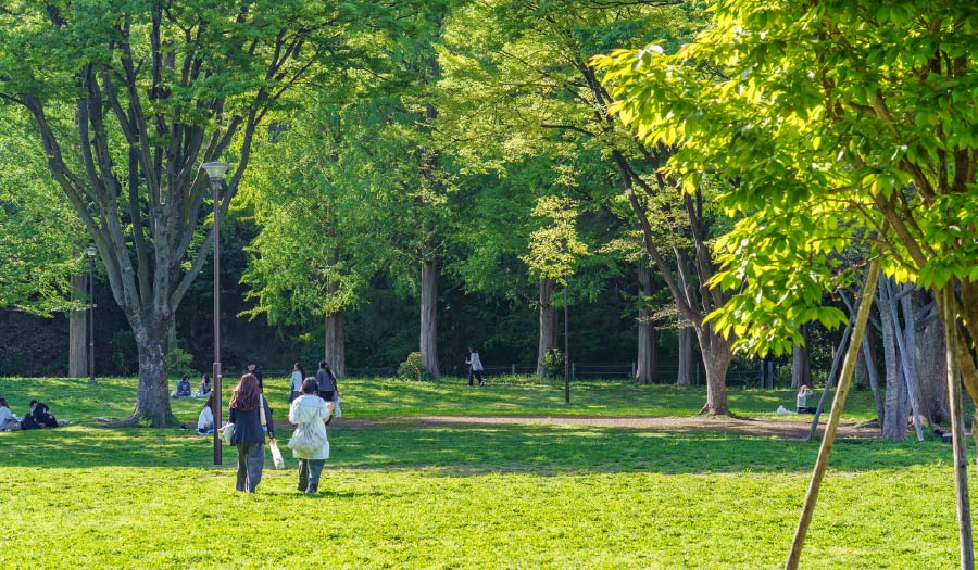 沢渡中央公園
