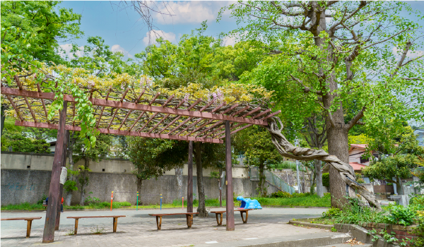 軽井沢公園