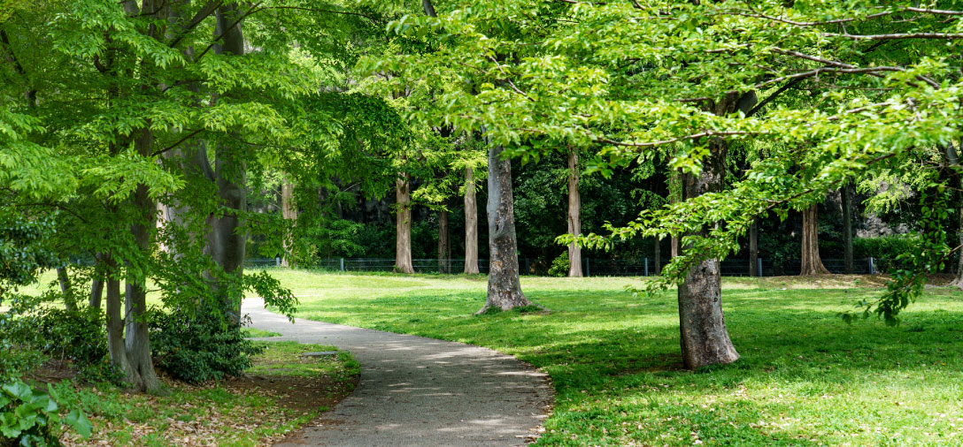 沢渡中央公園